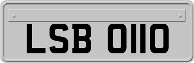 LSB0110