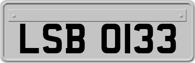 LSB0133