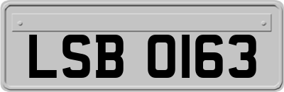 LSB0163