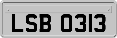 LSB0313