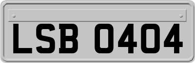 LSB0404