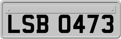 LSB0473