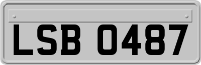 LSB0487
