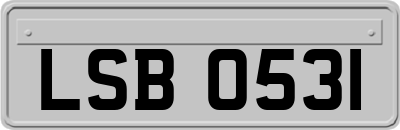 LSB0531