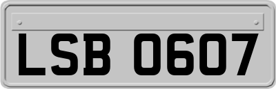 LSB0607
