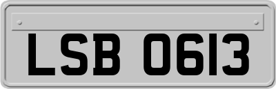 LSB0613