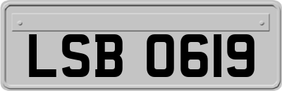 LSB0619
