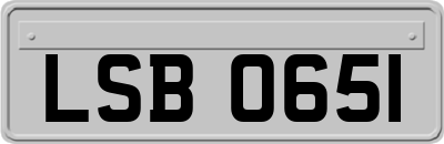 LSB0651