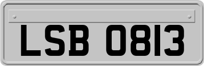 LSB0813