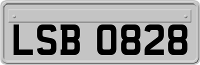 LSB0828