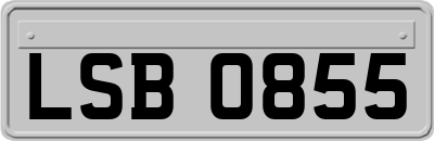 LSB0855