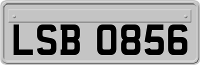 LSB0856