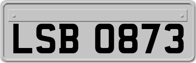 LSB0873