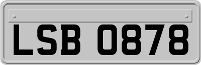 LSB0878