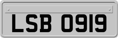 LSB0919