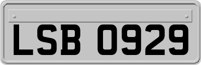 LSB0929