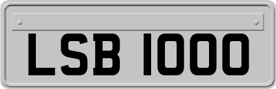 LSB1000