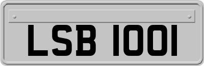 LSB1001