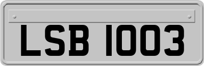 LSB1003