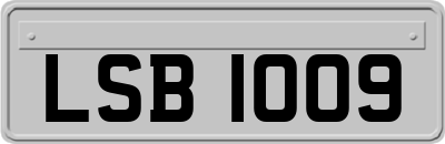 LSB1009