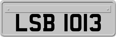 LSB1013