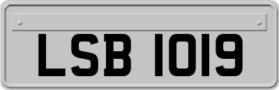 LSB1019