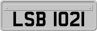 LSB1021