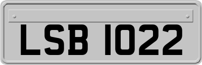 LSB1022