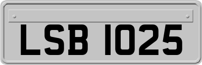 LSB1025