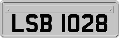 LSB1028