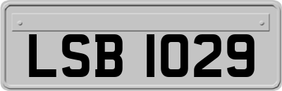 LSB1029