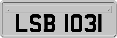 LSB1031