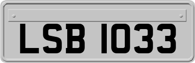 LSB1033