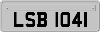 LSB1041