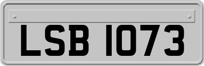 LSB1073
