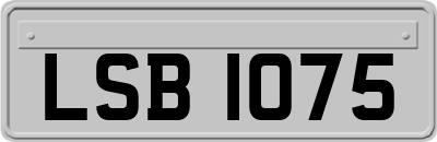 LSB1075