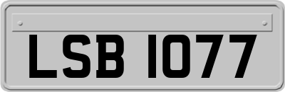 LSB1077