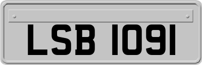 LSB1091