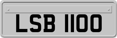 LSB1100