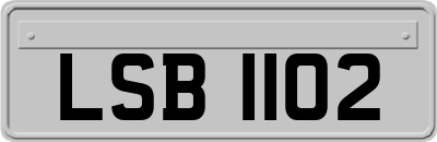 LSB1102