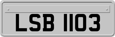 LSB1103