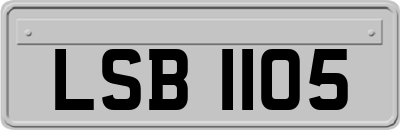LSB1105