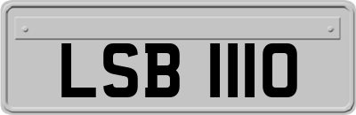 LSB1110