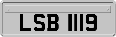 LSB1119