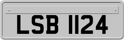 LSB1124