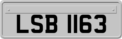 LSB1163