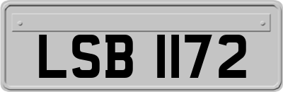 LSB1172