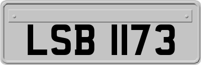 LSB1173
