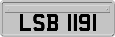 LSB1191