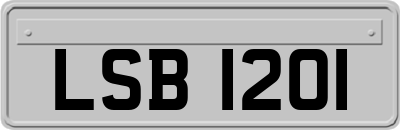 LSB1201